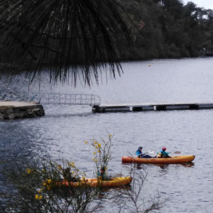 kayak